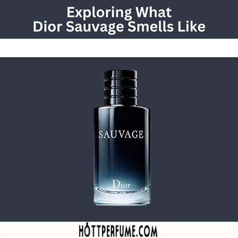 notes of dior sauvage|Dior Sauvage smells like.